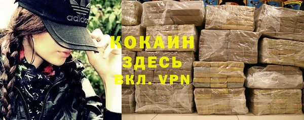 молекула духа Алексеевка