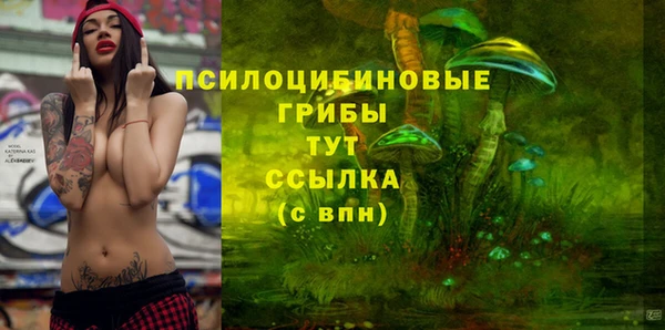 спиды Алексин