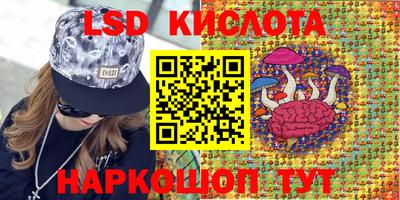 apvp Дубна