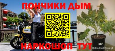 сатива Донецк