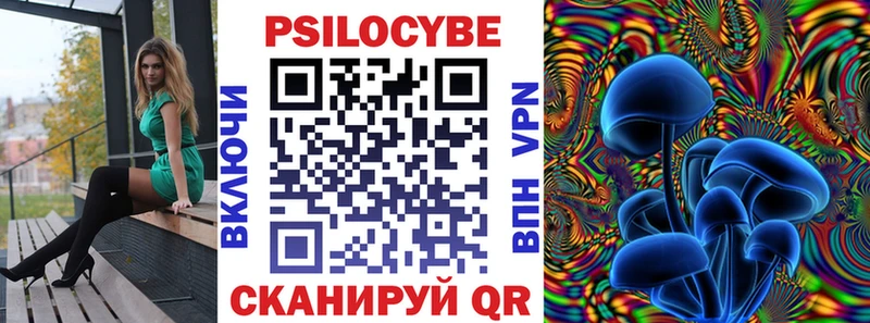 дарк нет Telegram  Воткинск  Псилоцибиновые грибы Psilocybe 